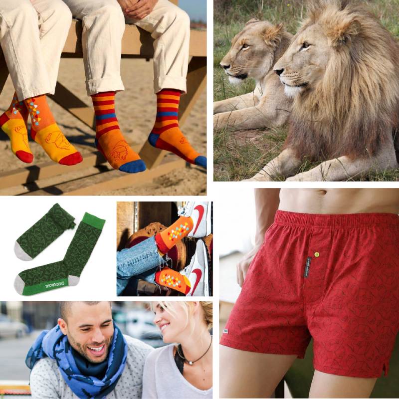 lion print socks, scarves and boxers for men, women and kids