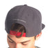 Cecil Lion Gray Flat Brim Baseball Cap rear view with 'A million feet marching' embroidered