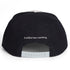 Harambe Gorilla Embroidered Flat Brim Baseball Cap in Black & Silver rear