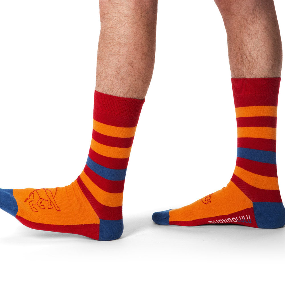 Lion Print Red, Orange & Blue Striped Socks tall