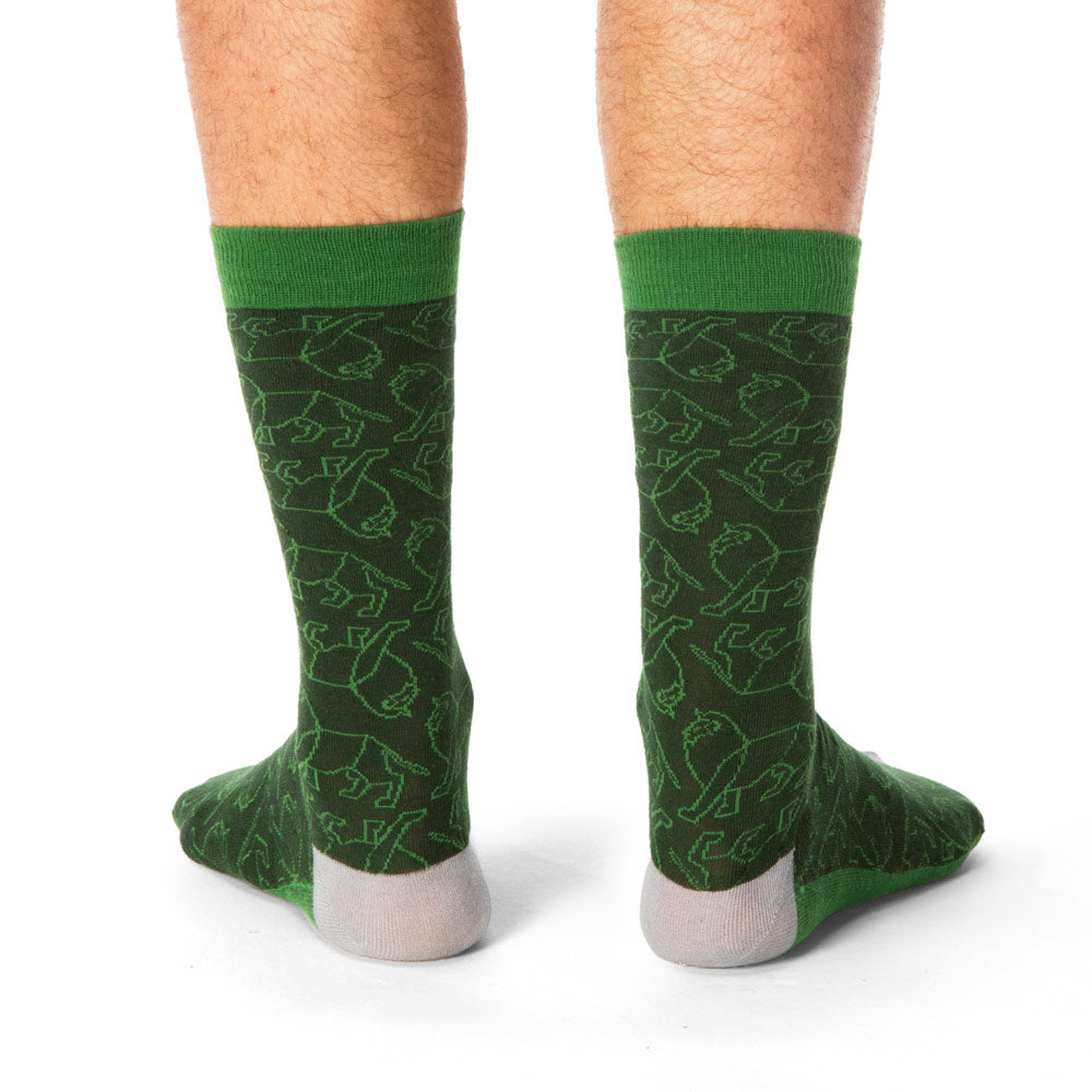 Lion Print Green Socks for Men & Boys