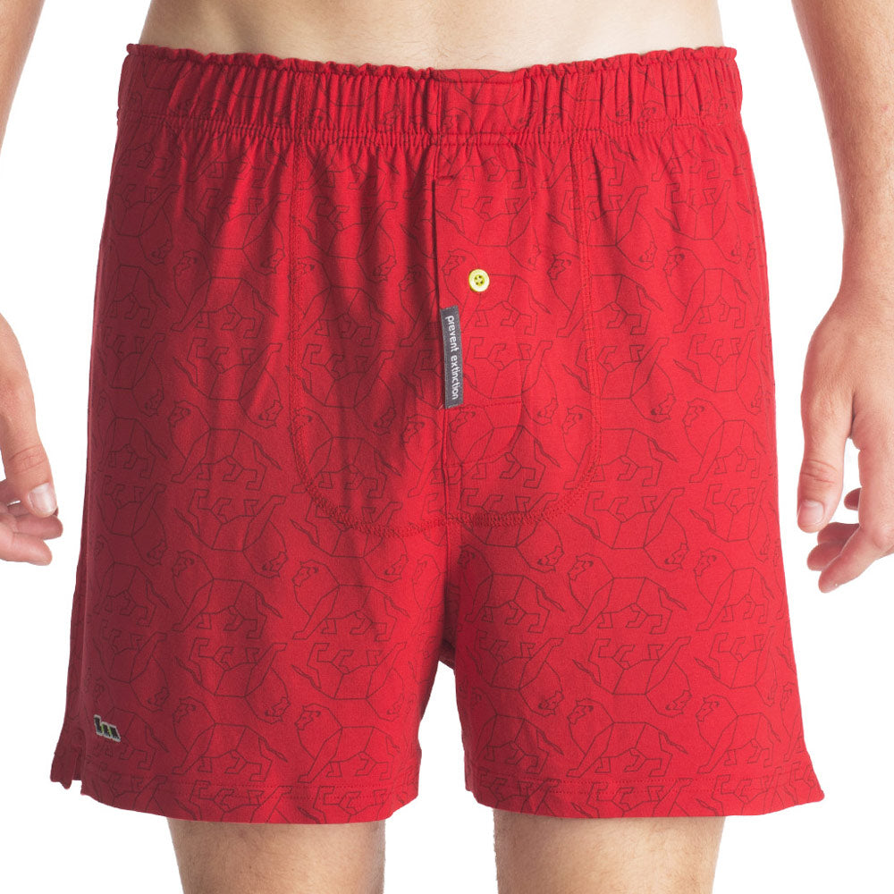 Red Leo Boxers for Men & Boys w Lion Print