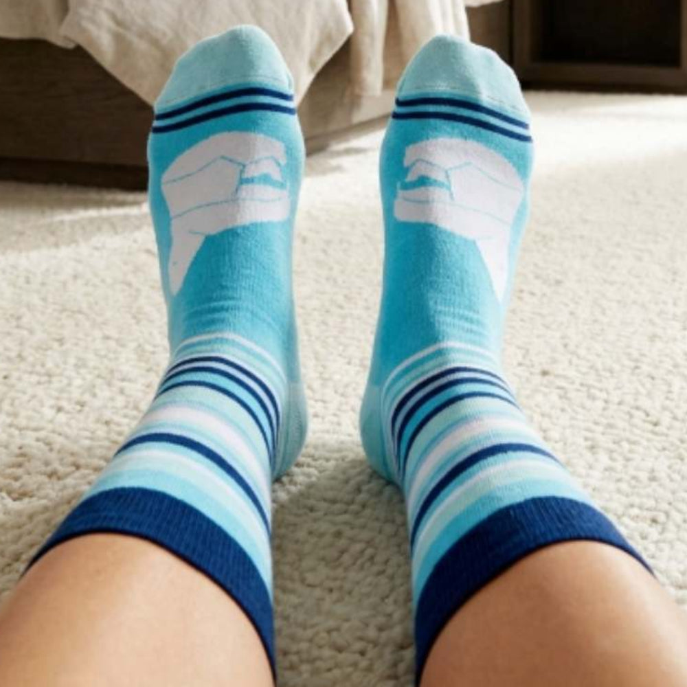 Polar Bear Print Blue Stripe Crew Socks - Shongolulu