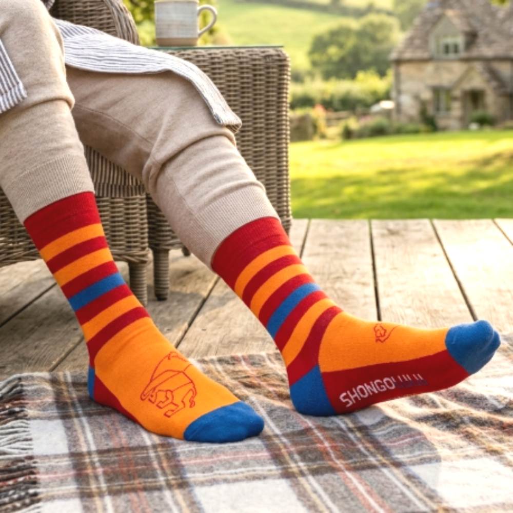 Shongolulu Lion Print Red, Orange & Blue Striped Tall Socks